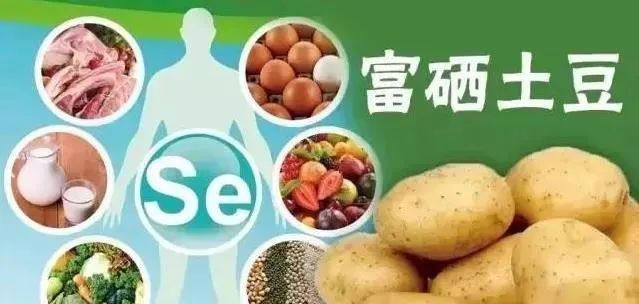 外源富硒农产品(外源富硒食品)-硒宝网
