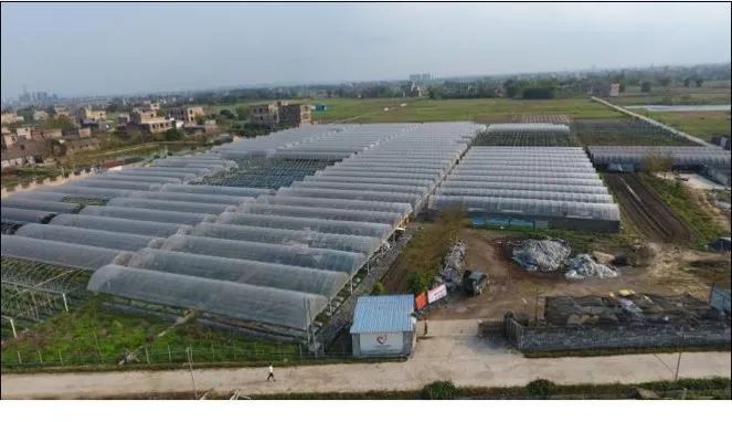 百色市富硒产品（百色市富硒产品批发市?。?硒宝网