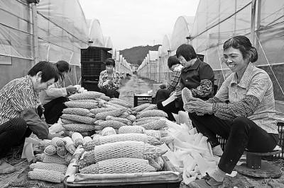 网购富硒农产品(富硒农产品需要认证吗)-硒宝网