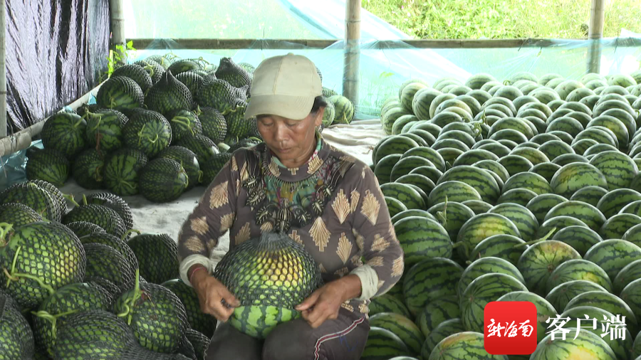 万宁富硒农产品(安康富硒产品解放网)-硒宝网