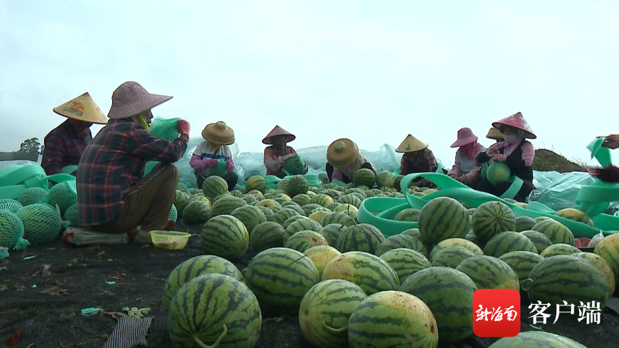 万宁富硒农产品(安康富硒产品解放网)-硒宝网