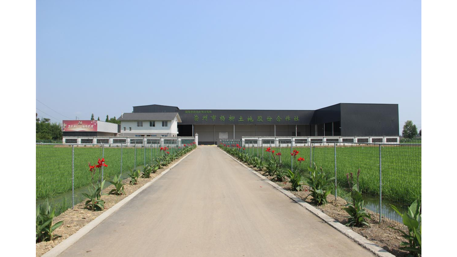 雨阳富硒农产品（富硒阳茗价格）-硒宝网