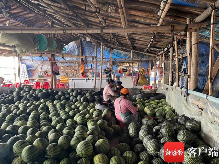 万宁富硒农产品（海南万宁富硒长寿村）-硒宝网