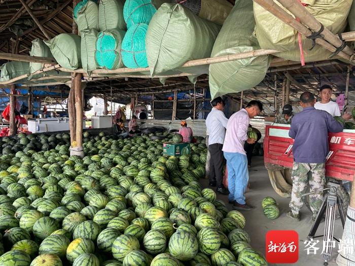 万宁富硒农产品（海南万宁富硒长寿村）-硒宝网