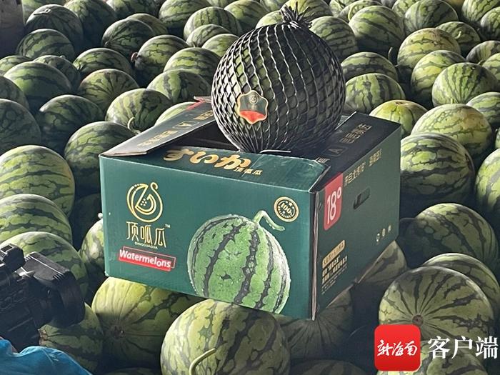 万宁富硒农产品（海南万宁富硒长寿村）-硒宝网