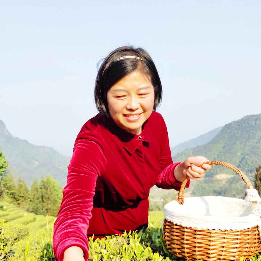 恩施富硒茶公司（湖北恩施富硒茶产地）-硒宝网