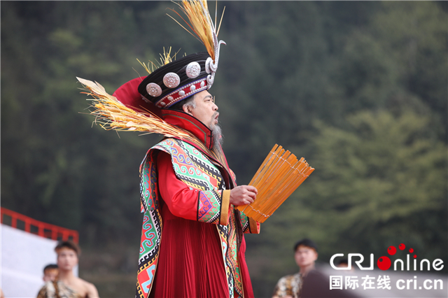 伍家台富硒贡茶(伍家台贡茶多少钱一斤)-硒宝网