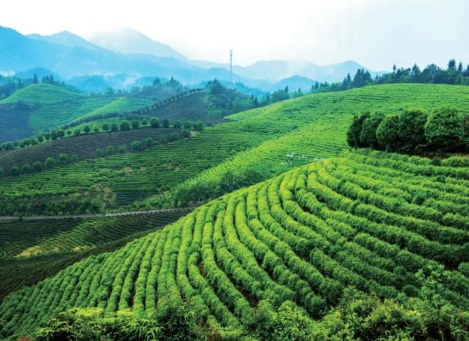 富硒农产品种植（富硒农业种植的三大特点）-硒宝网