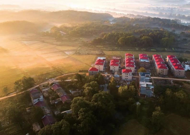 富硒农产品种植（富硒农业种植的三大特点）-硒宝网