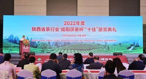 白河富硒茶价格(富硒白茶产地)-硒宝网