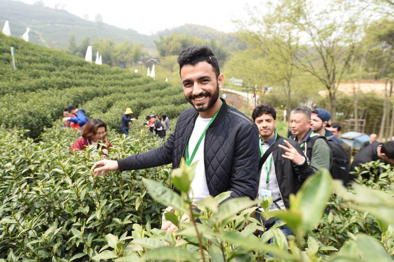 白河富硒茶价格（白河茶叶）-硒宝网