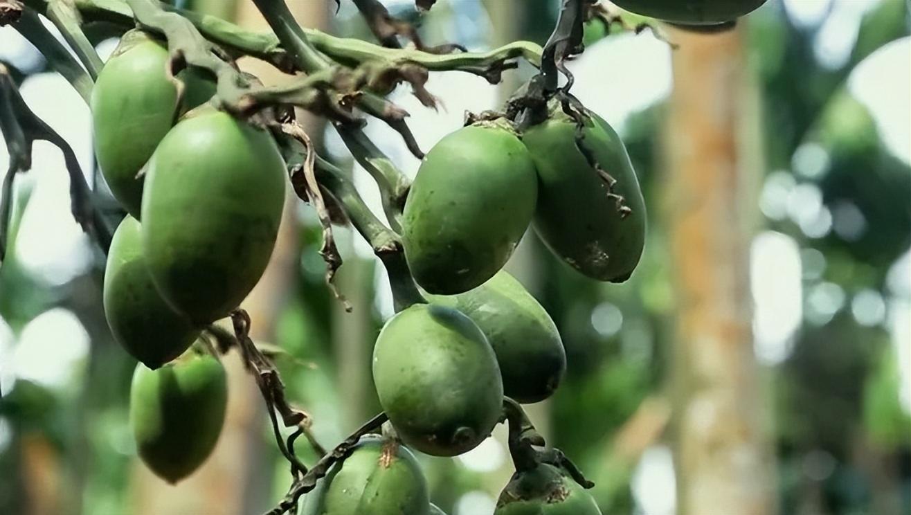 万宁富硒农产品（恩施富硒产品）-硒宝网