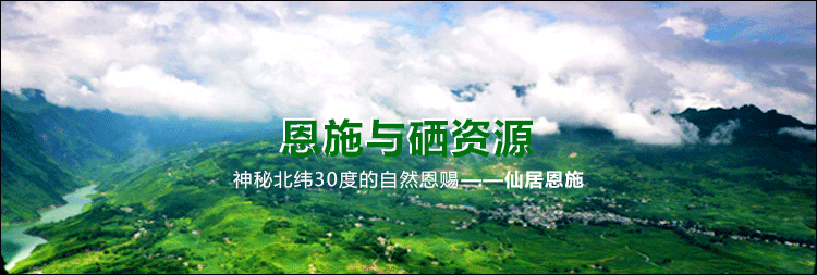 恩施富硒茶公司(恩施富硒茶企业)-硒宝网