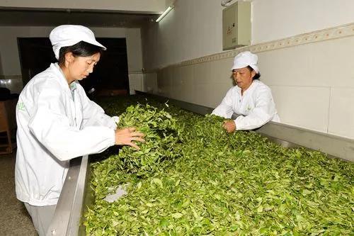 江西紫阳富硒茶(紫阳富硒茶核心产区)-硒宝网