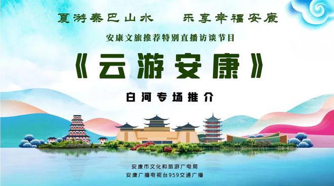 白河富硒茶价格（白河茶园）-硒宝网