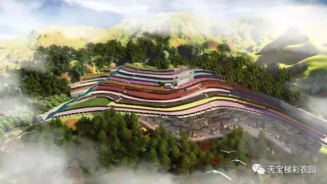 白河富硒茶价格（白河茶园）-硒宝网