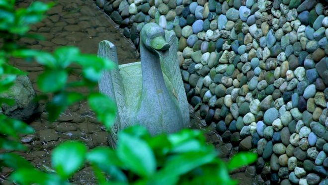 白河富硒茶价格（白河茶园）-硒宝网