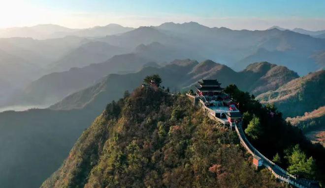 白河富硒茶价格（白河茶园）-硒宝网