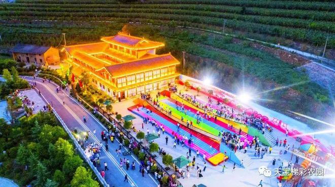 白河富硒茶价格（白河茶园）-硒宝网