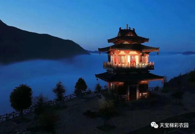 白河富硒茶价格（白河茶园）-硒宝网