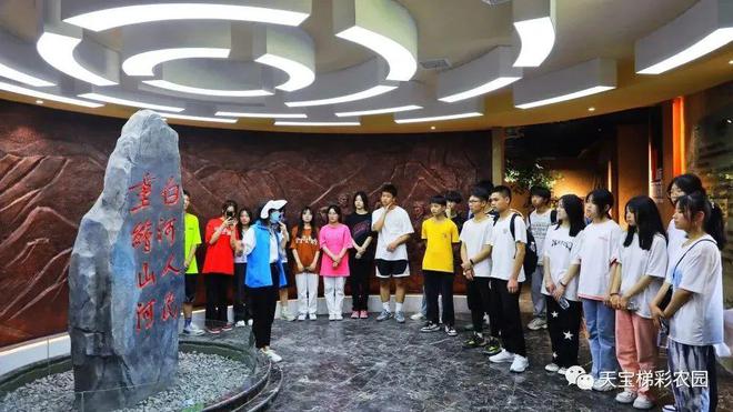 白河富硒茶价格（白河茶园）-硒宝网