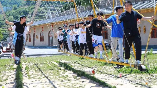 白河富硒茶价格（白河茶园）-硒宝网