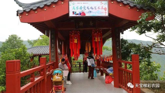 白河富硒茶价格（白河茶园）-硒宝网