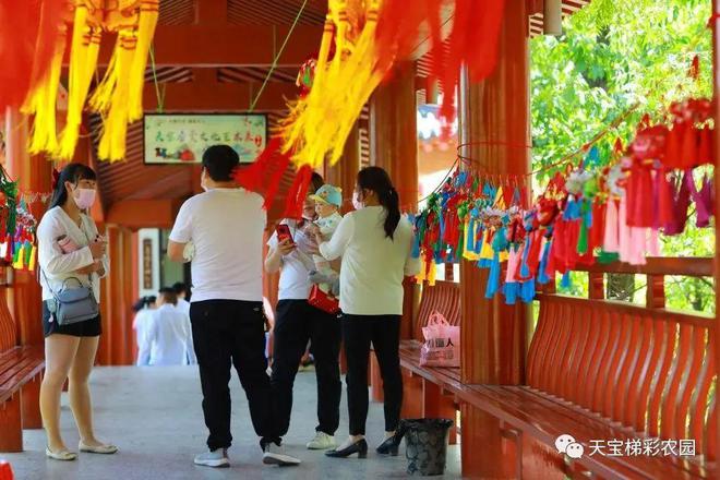 白河富硒茶价格（白河茶园）-硒宝网