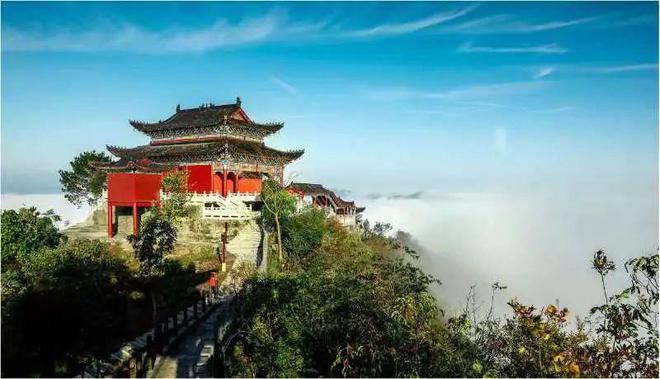 白河富硒茶价格（白河茶园）-硒宝网