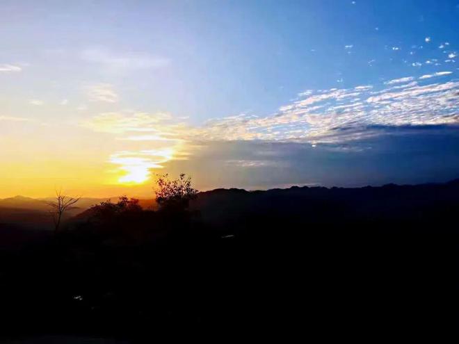 白河富硒茶价格（白河茶园）-硒宝网