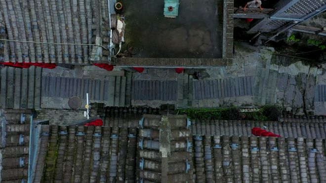 白河富硒茶价格（白河茶园）-硒宝网