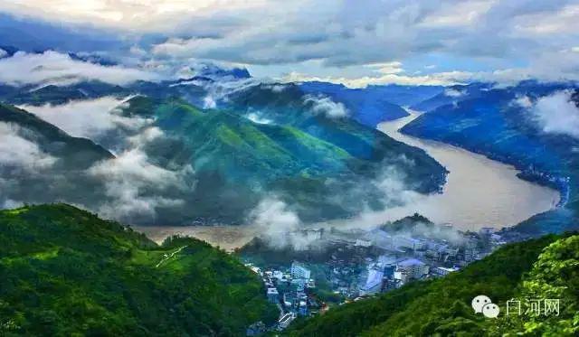 白河富硒茶价格（白河茶园）-硒宝网