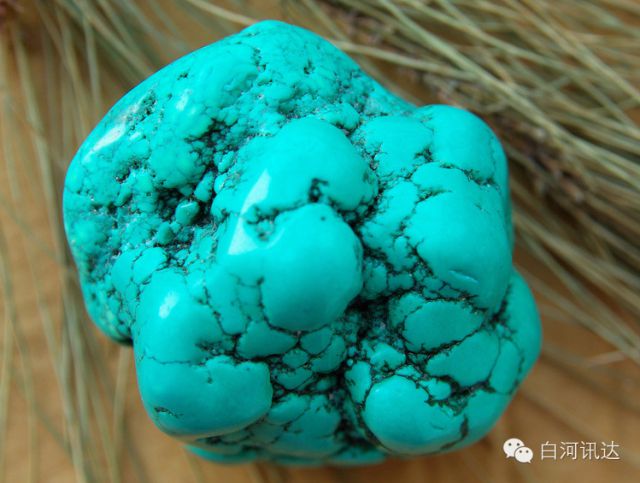 白河富硒茶价格（白河茶园）-硒宝网