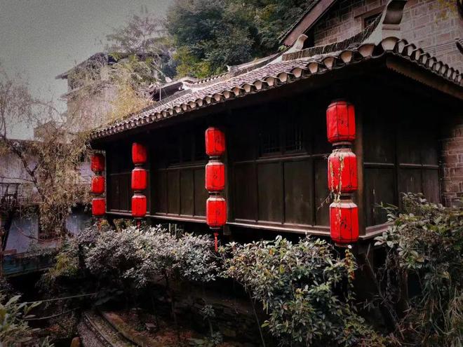 白河富硒茶价格（白河茶园）-硒宝网