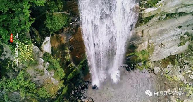 白河富硒茶价格（白河茶园）-硒宝网