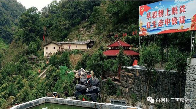 白河富硒茶价格（白河茶园）-硒宝网