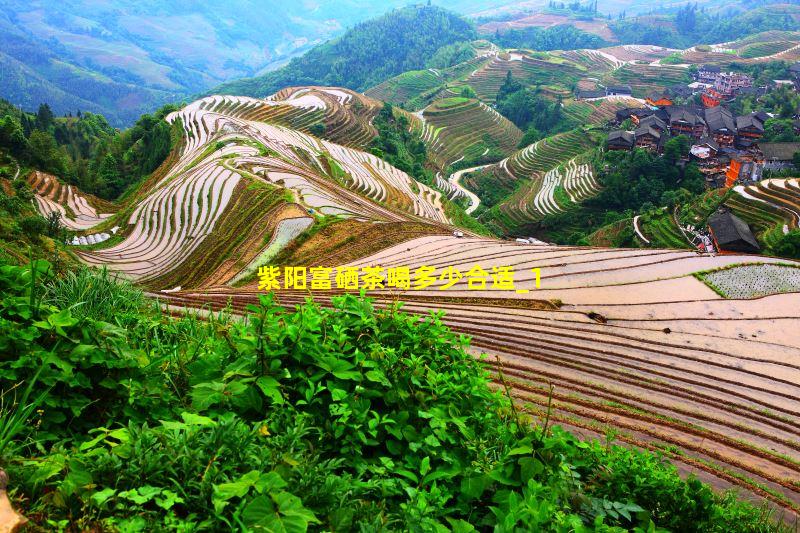 紫阳富硒茶标准(紫阳富硒茶硒含量)-硒宝网