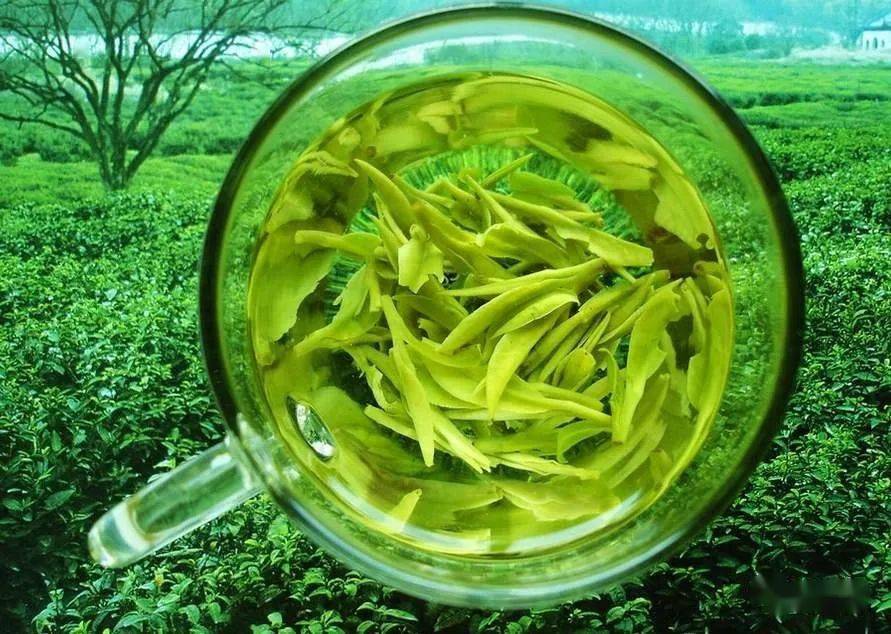 发酵茶怎么富硒(富硒茶饮料)-硒宝网