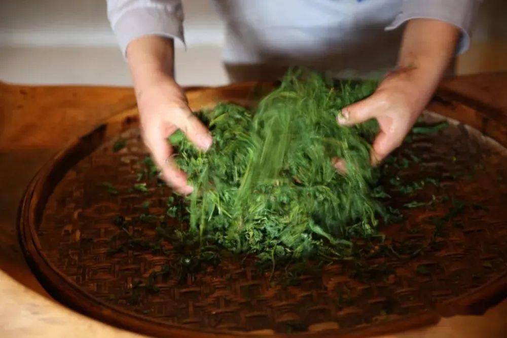 发酵茶怎么富硒(富硒茶饮料)-硒宝网