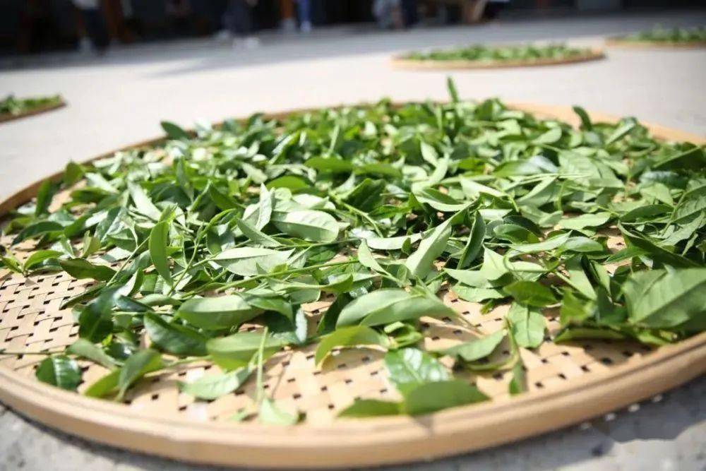 发酵茶怎么富硒(富硒茶饮料)-硒宝网