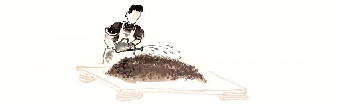 发酵茶怎么富硒(富硒茶制作)-硒宝网