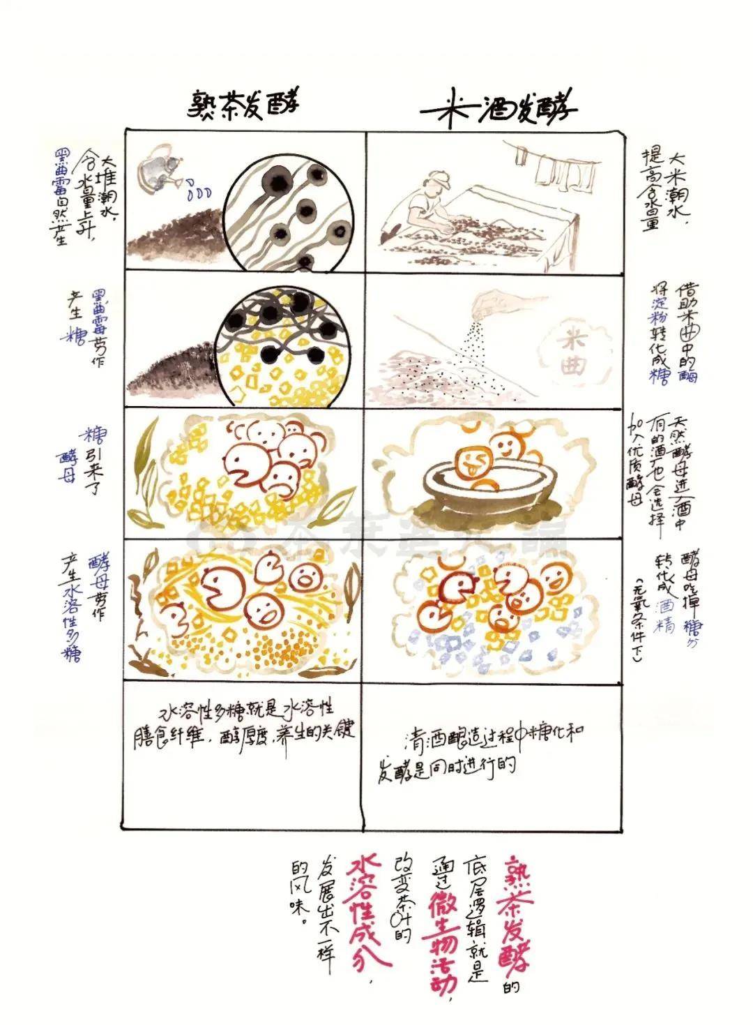 发酵茶怎么富硒(富硒茶制作)-硒宝网