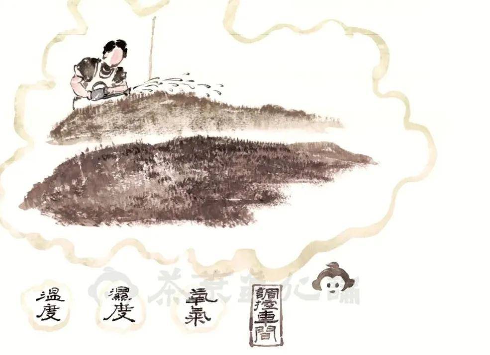 发酵茶怎么富硒(富硒茶制作)-硒宝网