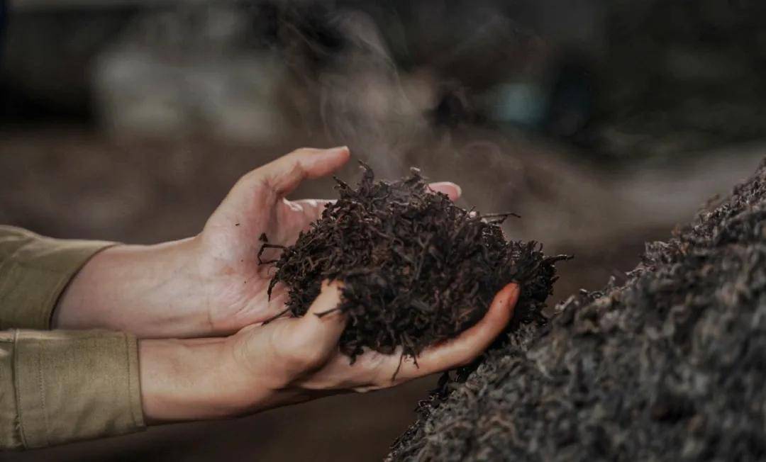 发酵茶怎么富硒(富硒茶制作)-硒宝网