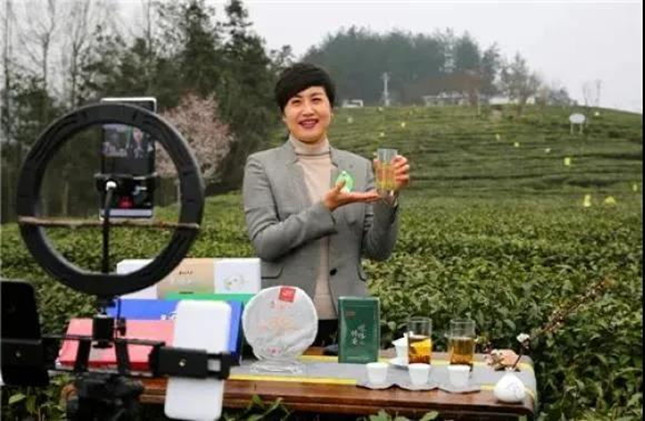 富硒茶上市时间（富硒茶产业国内现状）-硒宝网