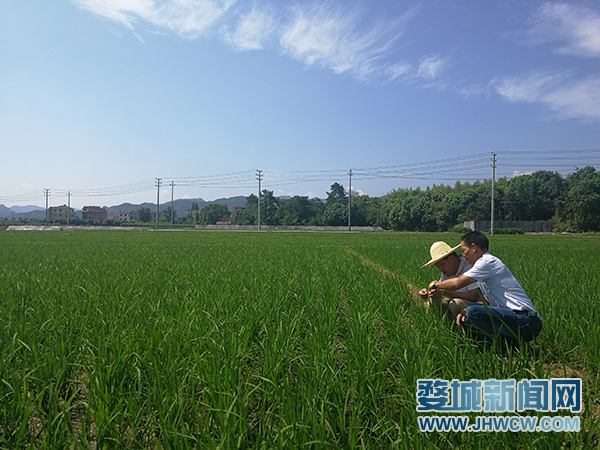 富硒农产品目标（富硒农产品国家标准）-硒宝网