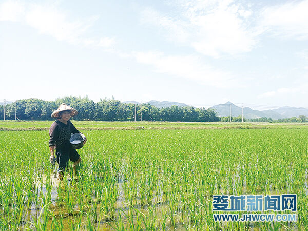 富硒农产品目标（富硒农产品国家标准）-硒宝网