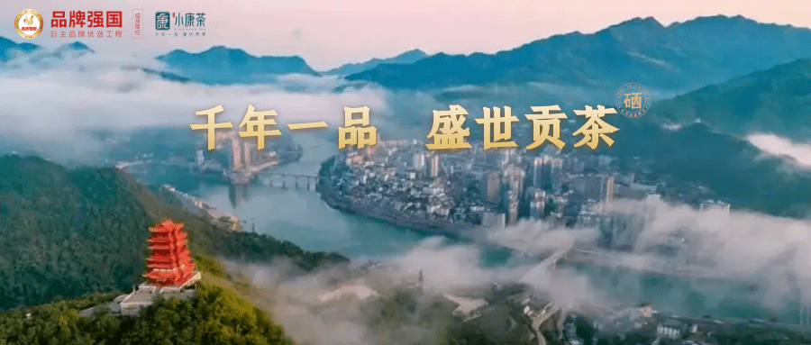 安康富硒茶雅集(安康富硒茶主要产自哪里)-硒宝网