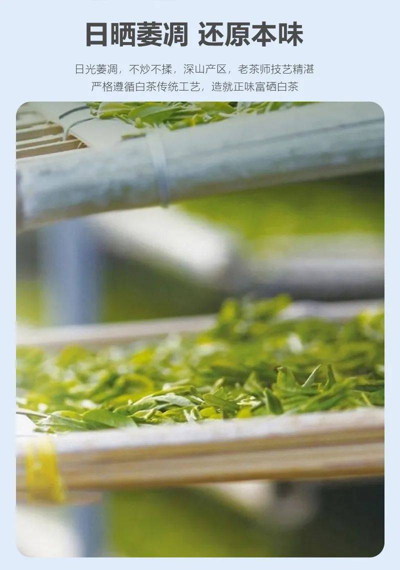 安康富硒茶雅集(安康富硒茶主要产自哪里)-硒宝网