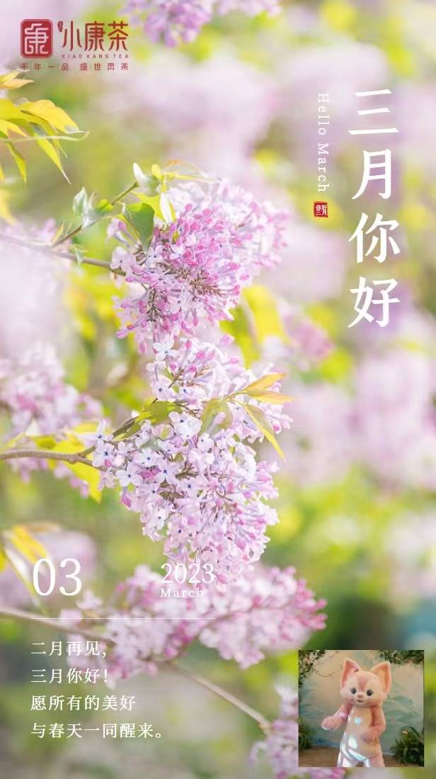 安康富硒茶雅集(安康富硒茶主要产自哪里)-硒宝网